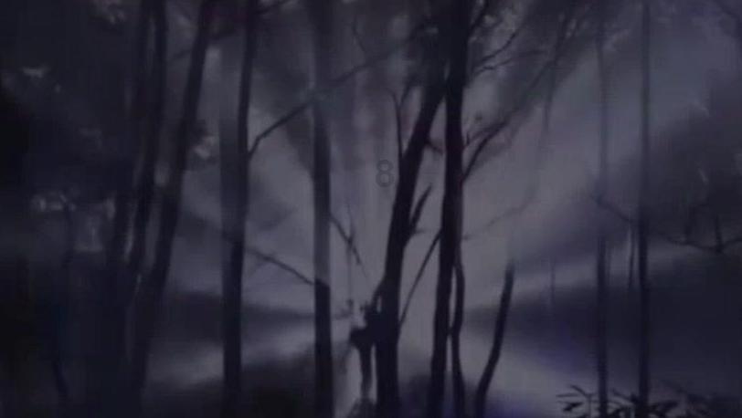 金殿逃脱