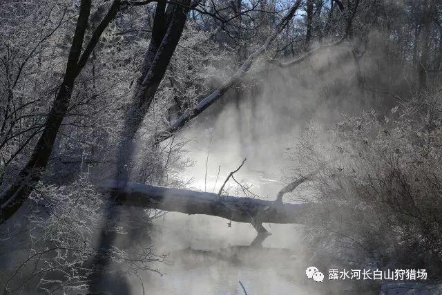 逃离废弃的卡车场