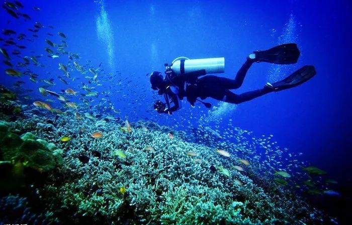 抢抓经略海洋新赛道 争当向海图强弄潮儿