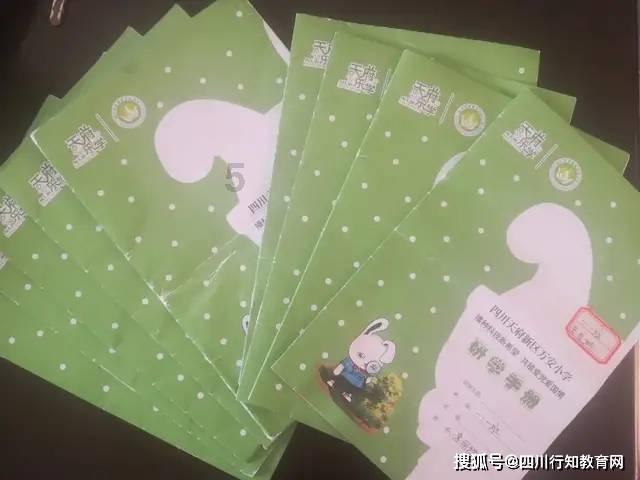 沙滩游玩的女孩们