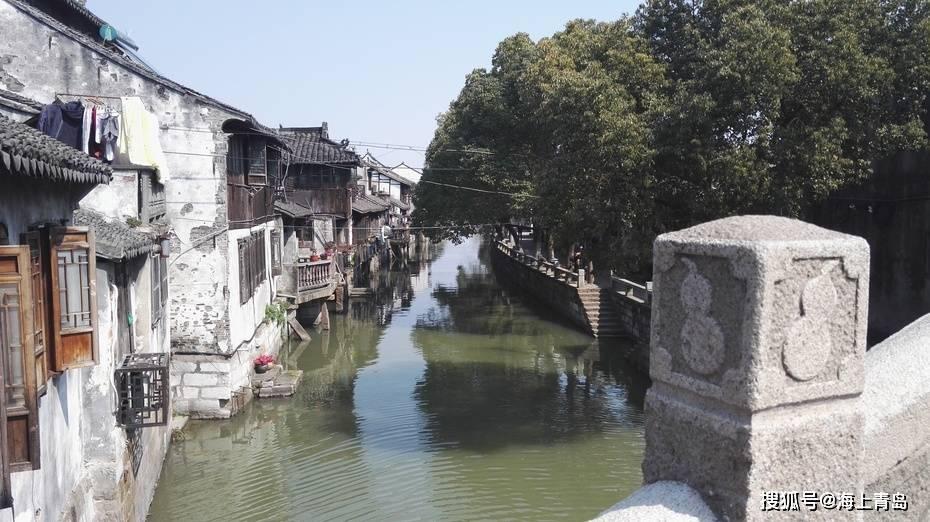 动物帮帮忙保卫家园