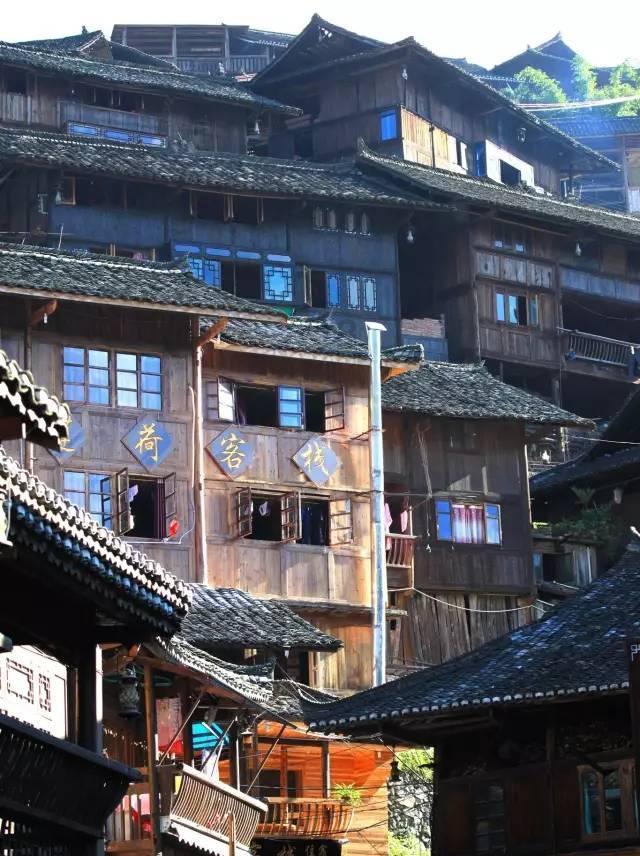 动物帮帮忙保卫家园